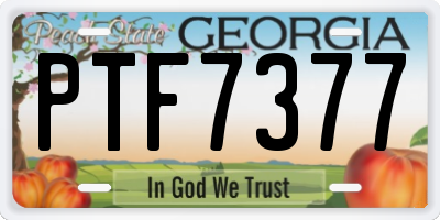 GA license plate PTF7377
