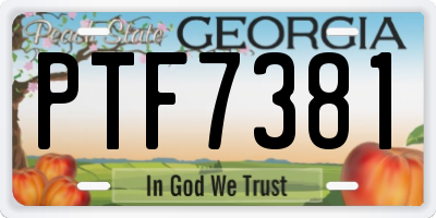 GA license plate PTF7381