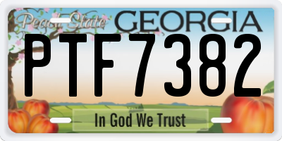 GA license plate PTF7382