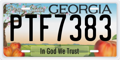 GA license plate PTF7383