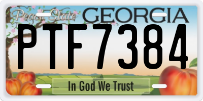 GA license plate PTF7384
