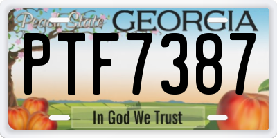 GA license plate PTF7387