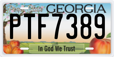 GA license plate PTF7389