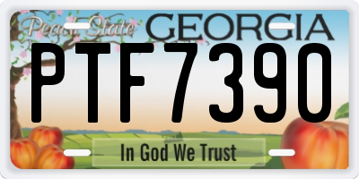 GA license plate PTF7390