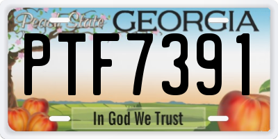 GA license plate PTF7391