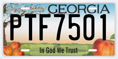 GA license plate PTF7501