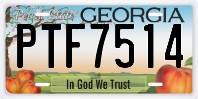 GA license plate PTF7514