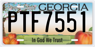 GA license plate PTF7551