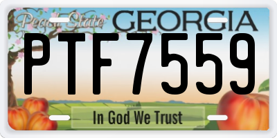 GA license plate PTF7559
