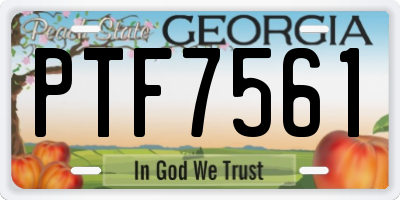 GA license plate PTF7561