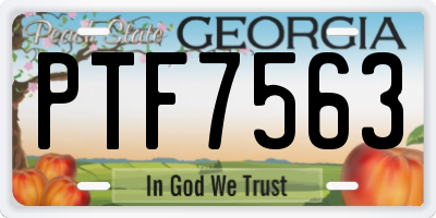 GA license plate PTF7563