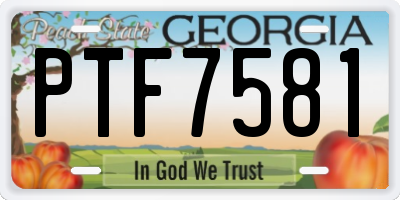 GA license plate PTF7581