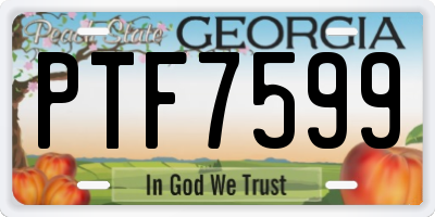 GA license plate PTF7599