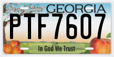 GA license plate PTF7607