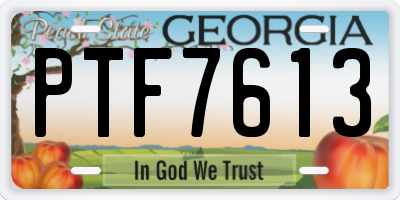 GA license plate PTF7613