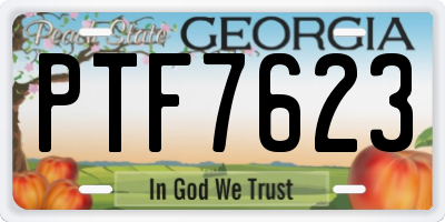 GA license plate PTF7623
