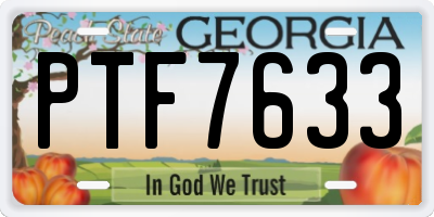 GA license plate PTF7633