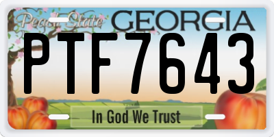 GA license plate PTF7643