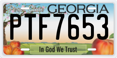 GA license plate PTF7653