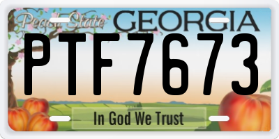 GA license plate PTF7673