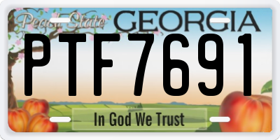 GA license plate PTF7691