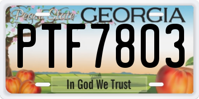 GA license plate PTF7803