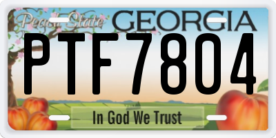 GA license plate PTF7804
