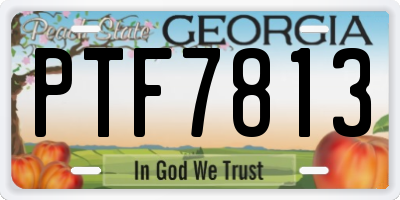 GA license plate PTF7813