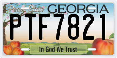 GA license plate PTF7821