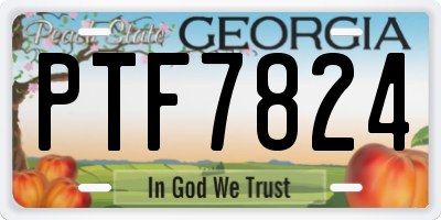 GA license plate PTF7824