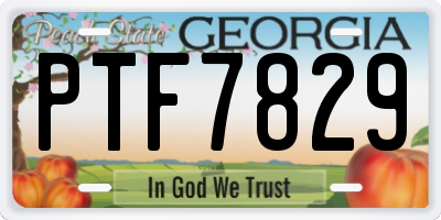 GA license plate PTF7829