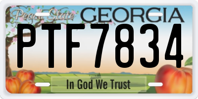 GA license plate PTF7834
