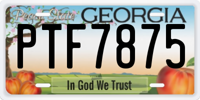GA license plate PTF7875