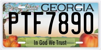 GA license plate PTF7890