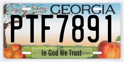 GA license plate PTF7891