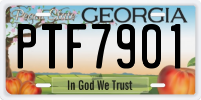 GA license plate PTF7901