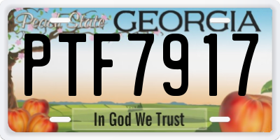 GA license plate PTF7917