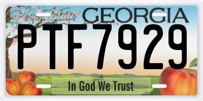 GA license plate PTF7929