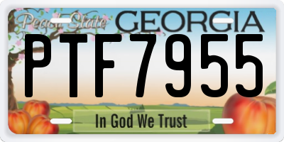GA license plate PTF7955