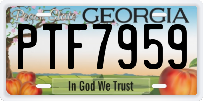 GA license plate PTF7959