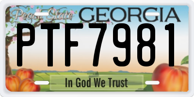 GA license plate PTF7981