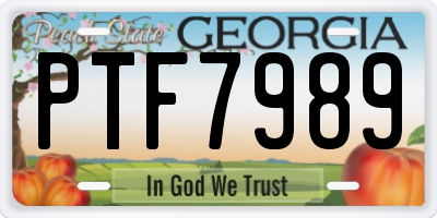 GA license plate PTF7989