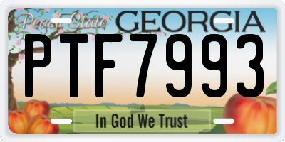 GA license plate PTF7993
