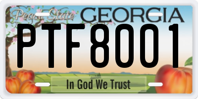GA license plate PTF8001