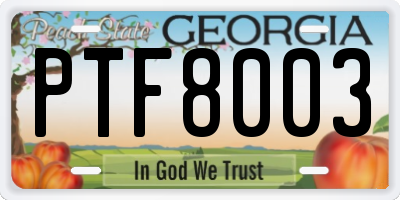 GA license plate PTF8003