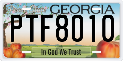 GA license plate PTF8010