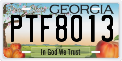 GA license plate PTF8013