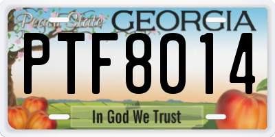 GA license plate PTF8014
