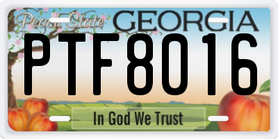 GA license plate PTF8016
