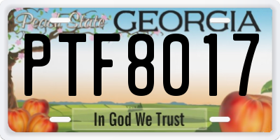 GA license plate PTF8017